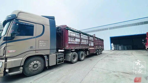 秀出科技范 谷城這些企業(yè)跑出創(chuàng)新 加速度