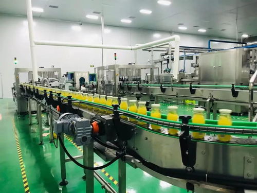 外行吃燕窩,內(nèi)行吃這個(gè)