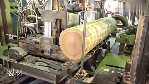 這是我見過最滿意的日本木材加工廠,難得一見的大場(chǎng)面