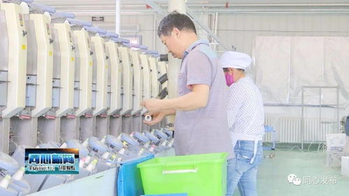 下馬關(guān)鎮(zhèn)三山井村扶貧車間開(kāi)業(yè)了