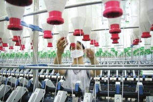 從織造到 智造 的產業新區