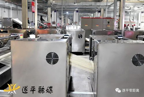 山東省濰坊市考察團來遂平縣考察農產品加工業建設情況